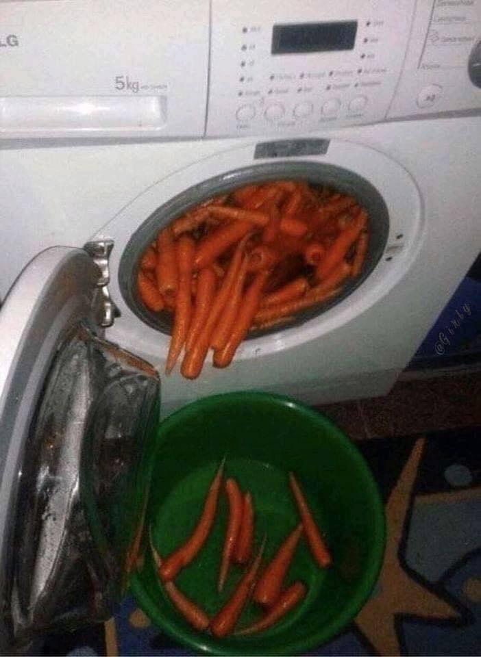 carrots in laundry machine, carrots in laundry, funny carrot washing, washing carrots in washing machine, washing machine full of carrots, carrots in washing machine, funny washing carrots picture