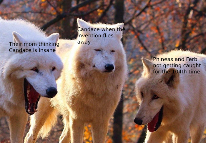 phineas and ferb meme, phineas and ferb wolves meme, laughing wolves meme, wolves laughing meme, laughing wolves memes, wolves laughing memes, funny wolves laughing meme, meme with laughing wolves, memes with laughing wolves, laughing wolf meme, laughing wolf memes, white wolves laughing, white wolves laughing meme, wolves laughing, white wolves laughing memes, laughing wolves dank meme, dank wolves meme, wolves meme, wolves memes, funny wolves meme, funny wolves memes, funny laughing wolves dank meme, dank meme, relatable meme, relatable dank meme, relatable dank memes, relatable memes, funny relatable meme, funny relatable memes, wolves yawning meme