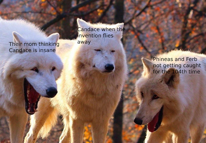 These White Wolves Laughing Memes Are Taking Over (20 Pics)