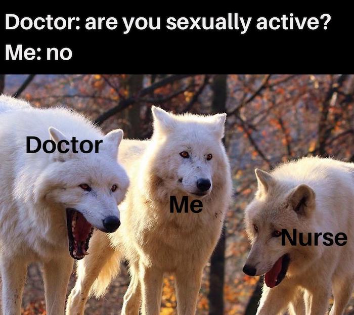are you sexually active meme, are you sexually active wolves meme