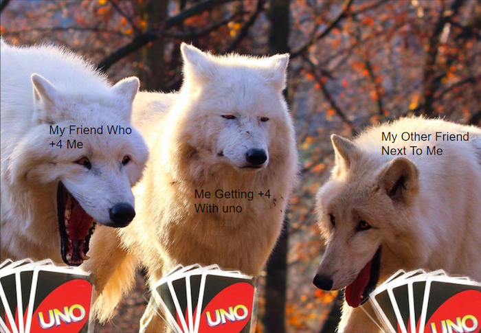uno draw 4 wolves meme, uno draw 4 meme, laughing wolves meme, wolves laughing meme, laughing wolves memes, wolves laughing memes, funny wolves laughing meme, meme with laughing wolves, memes with laughing wolves, laughing wolf meme, laughing wolf memes, white wolves laughing, white wolves laughing meme, wolves laughing, white wolves laughing memes, laughing wolves dank meme, dank wolves meme, wolves meme, wolves memes, funny wolves meme, funny wolves memes, funny laughing wolves dank meme, dank meme, relatable meme, relatable dank meme, relatable dank memes, relatable memes, funny relatable meme, funny relatable memes, wolves yawning meme