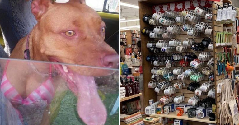 It’s About Perspective (17 Semi-Confusing Pics)