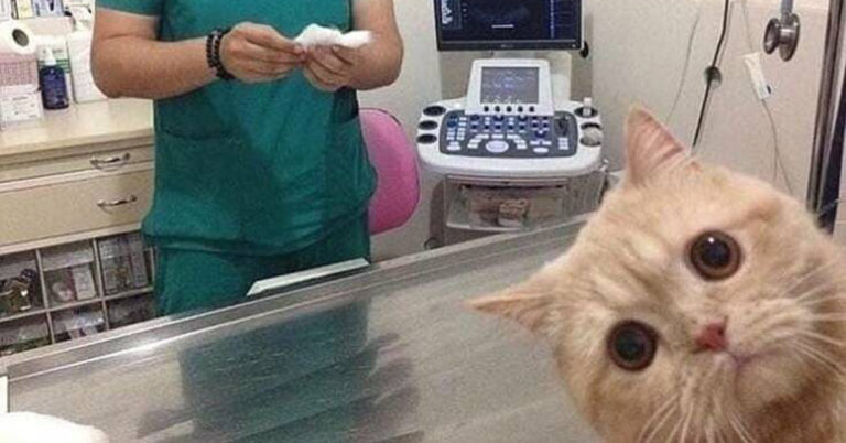 Morning Random Pic Dump (35 Pics)