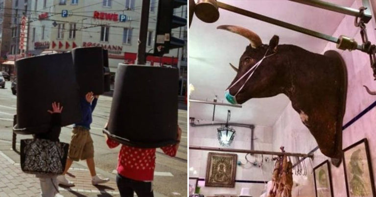 Morning Random Pic Dump (35 Pics)