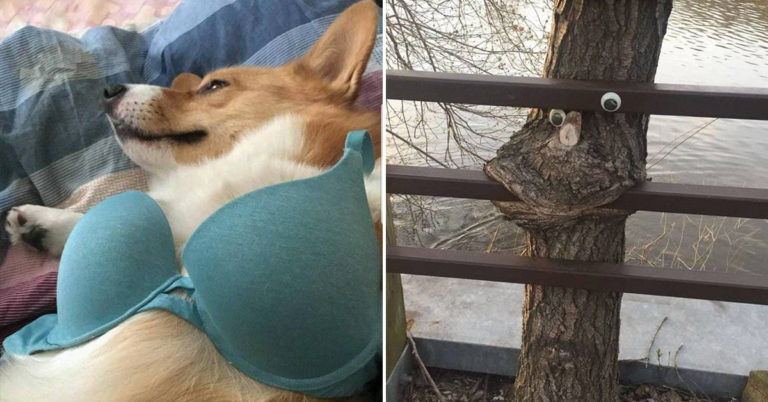 Morning Random Pic Dump (35 Pics)