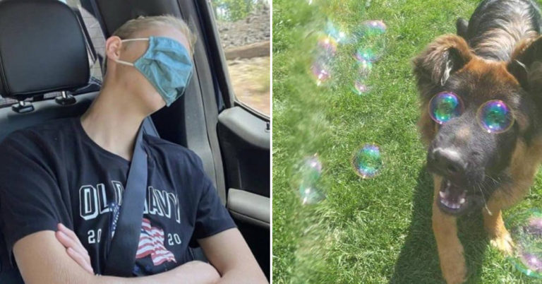 Morning Random Pic Dump (35 Pics)