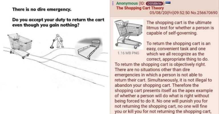 People Are Discussing How “Shopping Cart Theory” Determines If Someone Is A Good Person