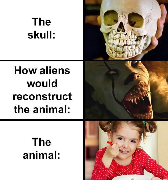 skull with a lot of teeth, alien skull with a lot of teeth, alien skull meme, alien skull memes, what aliens think skulls animals look like, what aliens think skull meme, funny alien skull meme, funny alien skull memes, what aliens think a skull’s animal looks like, what aliens think animals look like, what aliens think animals look like meme, what aliens think animals look like based on their skulls, what aliens think animals look like based on their skull, alien skull reconstruction, alien animal skull reconstruction, alien skull reconstruction meme, alien skull reconstruction memes, alien skull animal reconstructions, alien skeleton meme, alien skeleton memes