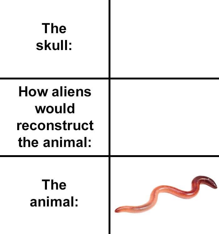 alien worm reconstruction, worm alien skull meme, alien worm skull meme