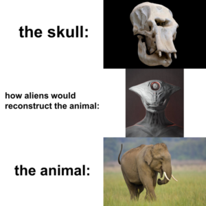 The Alien Skull Meme Is Part Creepy And Part Wholesome (30 Memes)