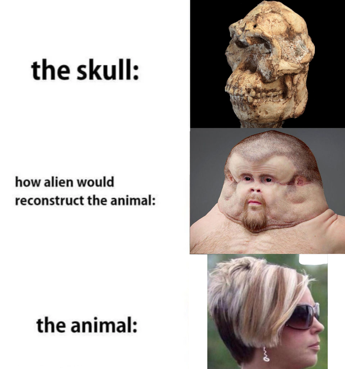 The Alien Skull Meme Is Part Creepy And Part Wholesome (30 Memes)