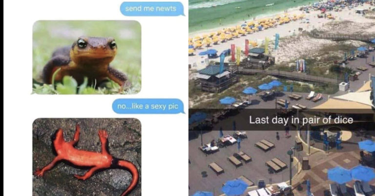 So Far, 2020 Has Been A Record Year For Stupid People (37 Pics)