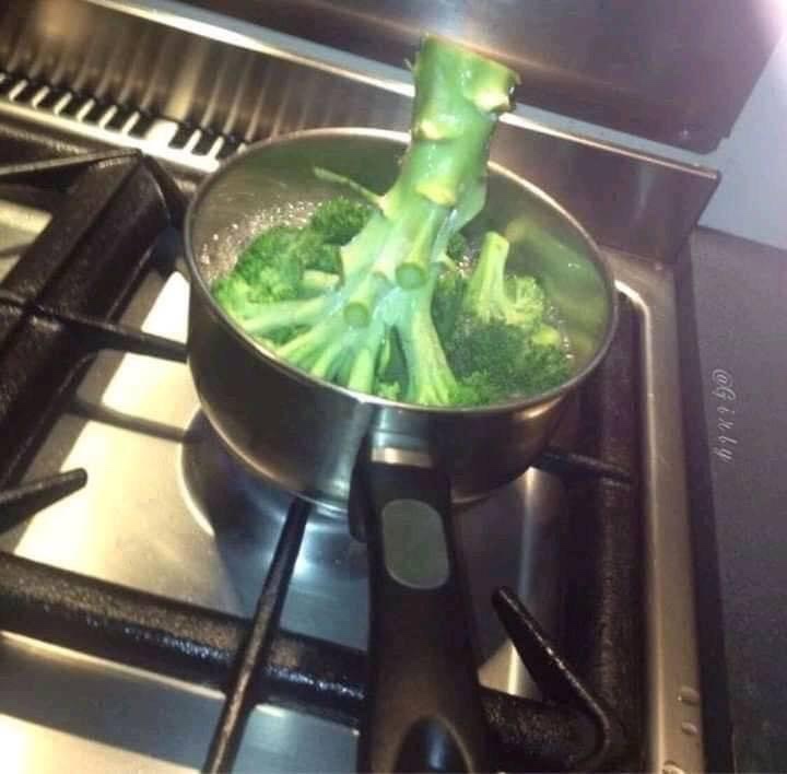 Funny Cooking Fails: Stay Out Of The Kitchen