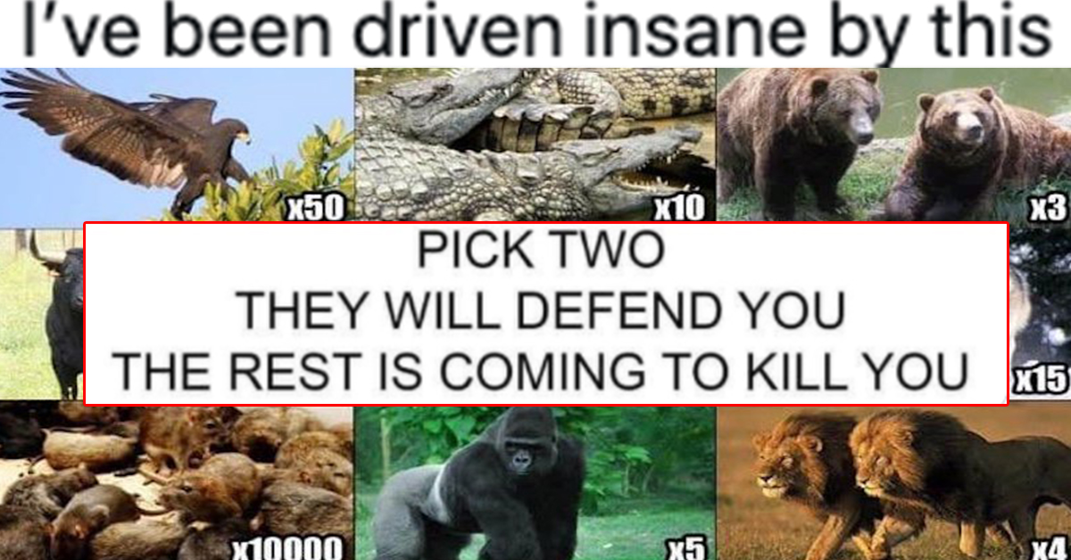 pick two meme, pick two animals meme, pick two to defend you meme