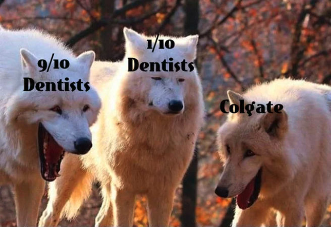 colgate dentist meme, funny dentist meme, dentist meme, laughing wolves dentist meme, dentist laughing wolves meme, dentist wolves meme, wolves dentist meme