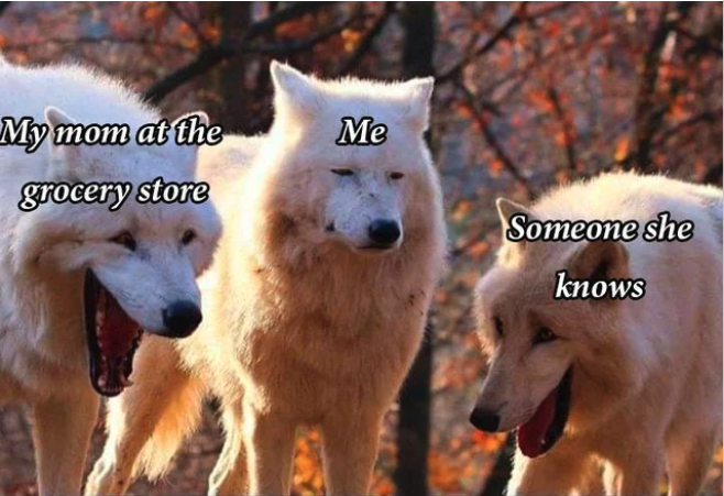 grocery store meme, laughing wolves grocery store meme, funny grocery store meme, wolves grocery store meme, grocery store laughing wolves meme, laughing wolves meme, wolves laughing meme, laughing wolves memes, wolves laughing memes, funny wolves laughing meme, meme with laughing wolves, memes with laughing wolves, laughing wolf meme, laughing wolf memes, white wolves laughing, white wolves laughing meme, wolves laughing, white wolves laughing memes, laughing wolves dank meme, dank wolves meme, wolves meme, wolves memes, funny wolves meme, funny wolves memes, funny laughing wolves dank meme, dank meme, relatable meme, relatable dank meme, relatable dank memes, relatable memes, funny relatable meme, funny relatable memes, wolves yawning meme