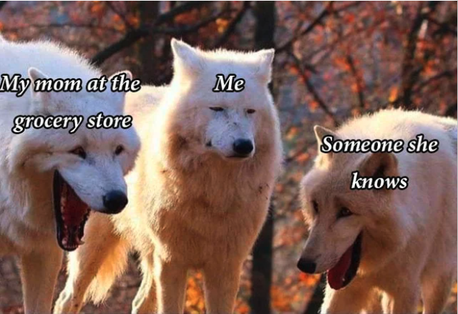 https://ruinmyweek.com/wp-content/uploads/2020/07/these-yawning-white-wolves-have-become-the-most-relatable-meme-on-the-internet-7.png