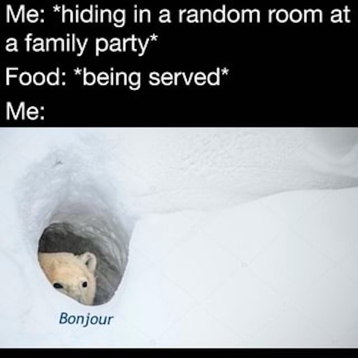 Bear Memes That Just Want To Say \?Bonjour? 