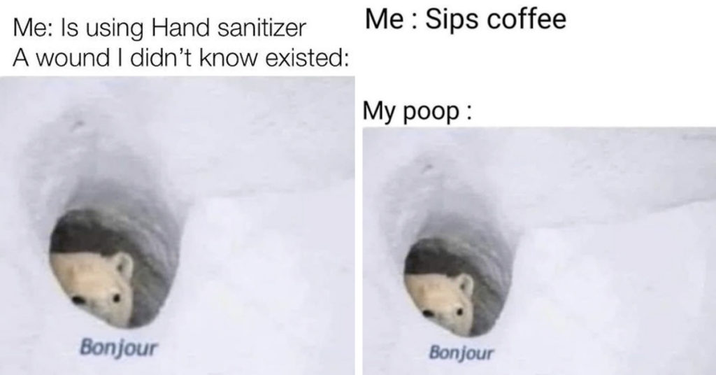 28 Bonjour Bear Memes That Just Want To Say 