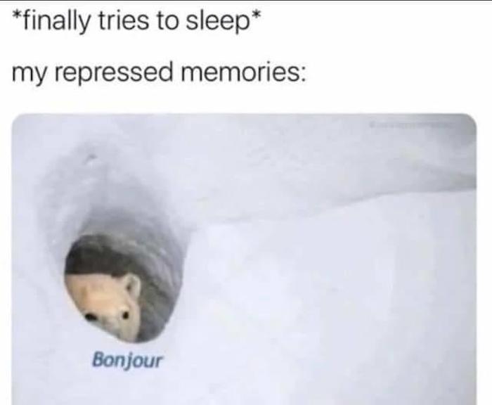 28 Bonjour Bear Memes That Just Want To Say "Bonjour"