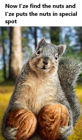 i'ze find the nuts funny autumn meme, i'ze find the nuts autumn fall meme, funny i find the nuts autumn fall meme
