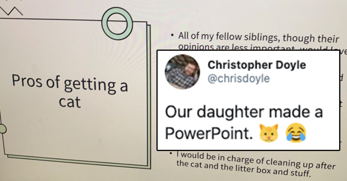 cat powerpoint