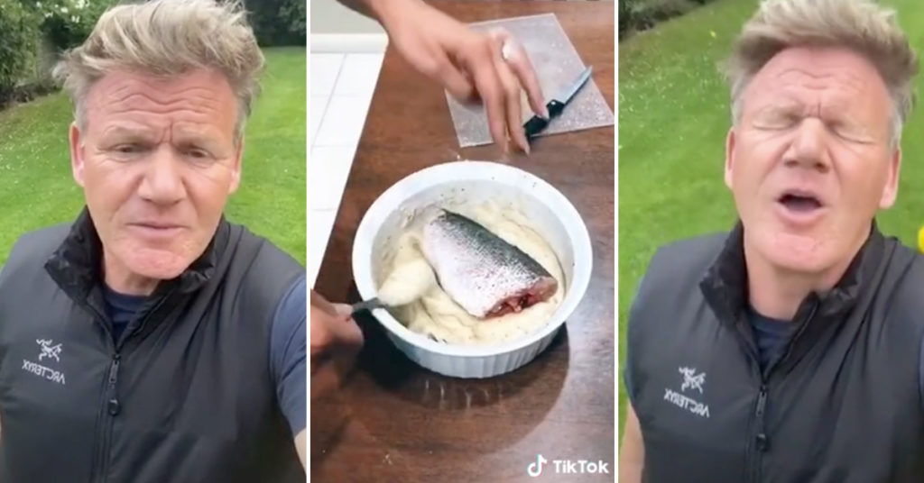 Gordon Ramsay Is Verbally Abusing Amateur Chefs On TikTok