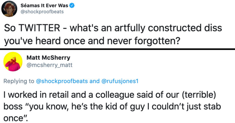 People Are Sharing The Clever Disses They Heard And Never Forgot (29 Tweets)