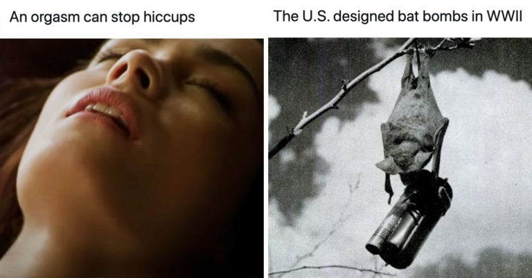 “Why Do You Know That?”—30 Interesting Facts