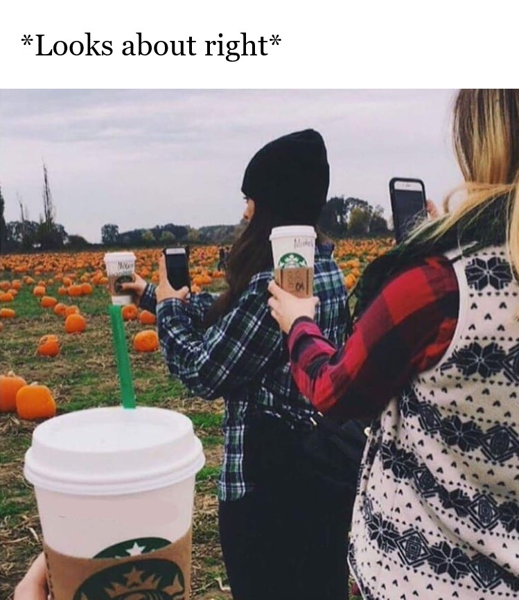 47 Pumpkin Spice Memes, Because We've Got Pumpkin Spice Everything Else