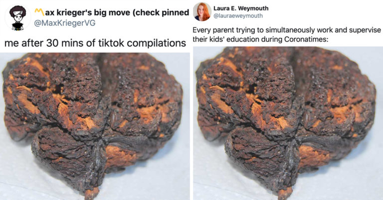 brain meme, 4,000 year old brain,