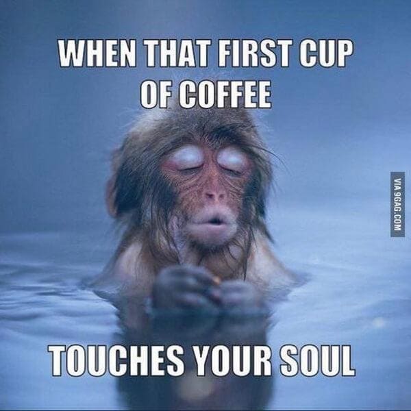 first cup of coffee meme, coffee is spiritual coffee meme