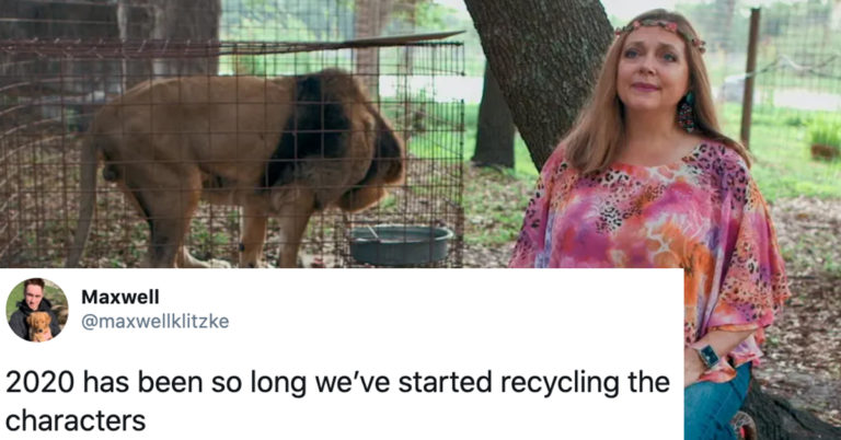 21 Of The Funniest Memes And Tweets About Carole Baskin Appearing On “DWTS”