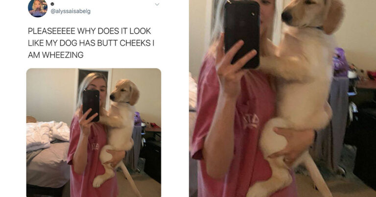 23 Of The Funniest Jokes From Women On Twitter This Week