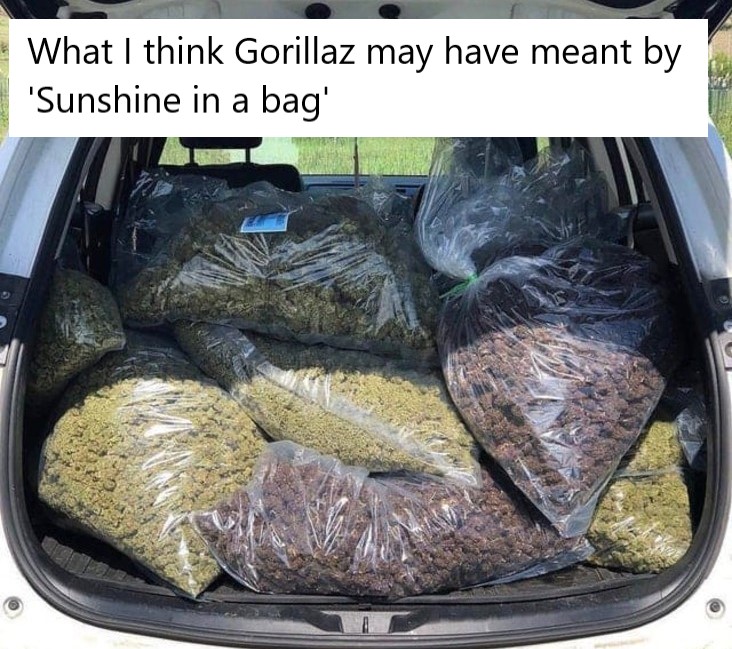 sunshine in a bad stoner meme, funny sunshine in a bag weed meme, gorillaz sunshine in a bag weed meme, gorillaz sunshine in a bag stoner meme