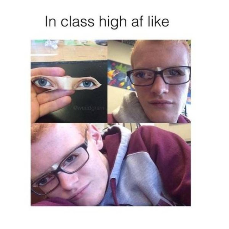 in class high stoner meme, when you are in class high stoner meme, when you are in class weed meme, when you are in class high weed meme