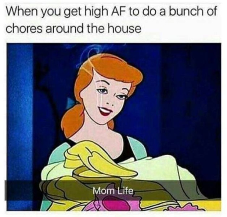 house chores stoner meme, house chores weed meme, doing house chores stoner meme, doing house chores high stoner meme