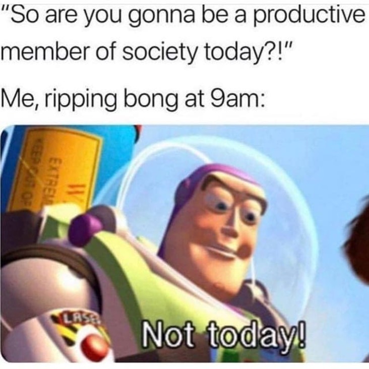 being productive stoner meme, productive member of society stoner meme, stoner meme, stoner memes, funny stoner meme, funny stoner memes, meme stoner, memes stoner, memes about stoners, meme about stoners, memes about being a stoner, hilarious stoner meme, hilarious stoner memes, meme about being a stoner, smoking weed meme, smoking weed memes, weed smoking meme, weed smoking memes, weed meme, weed memes, funny weed meme, funny weed memes, meme weed, memes weed, meme weed funny, memes weed funny, cannabis meme, cannabis memes, funny cannabis meme, funny cannabis memes