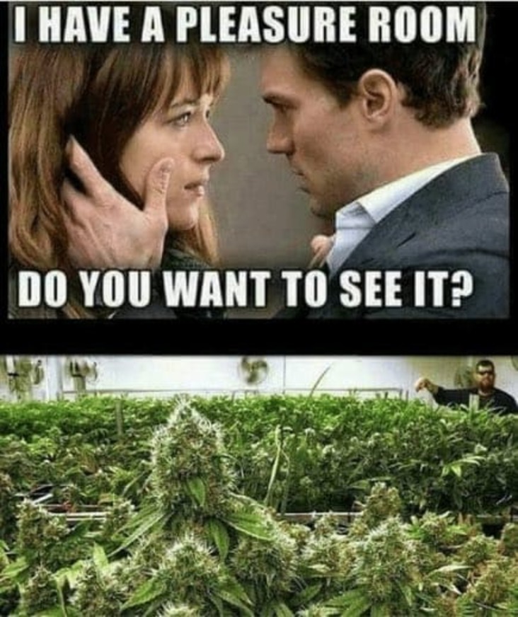 pleasure room weed meme, pleasure room stoner meme, funny pleasure room stoner meme