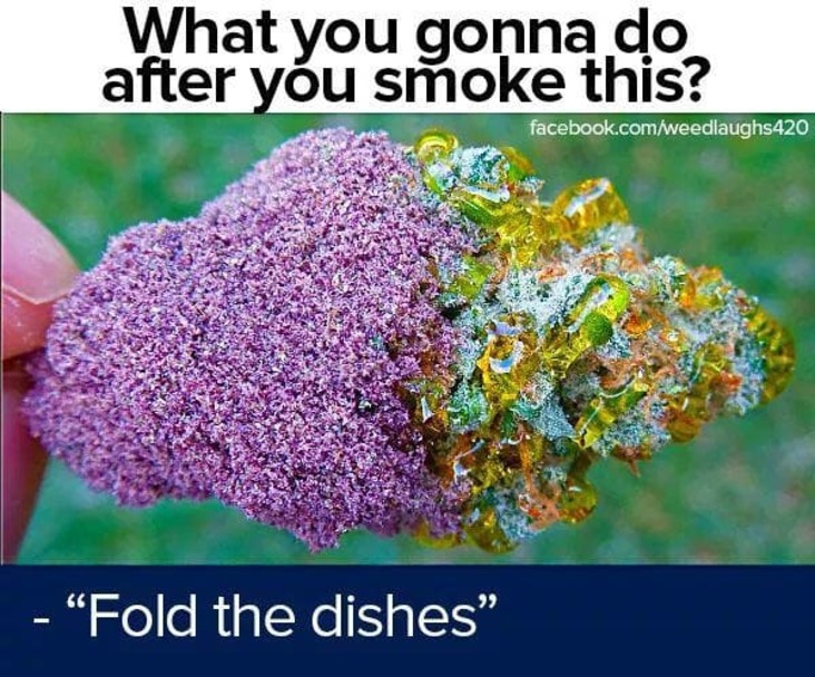 fold the dishes stoner meme, fold the dishes weed meme, fold the dishes cannabis meme