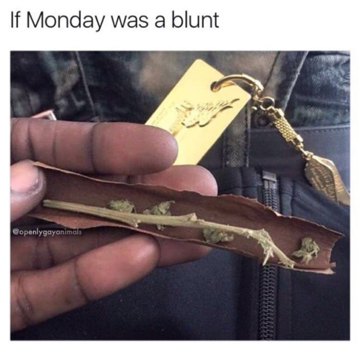 if monday was a blunt stoner meme, if monday was a blunt weed meme, stoner meme, stoner memes, funny stoner meme, funny stoner memes, meme stoner, memes stoner, memes about stoners, meme about stoners, memes about being a stoner, hilarious stoner meme, hilarious stoner memes, meme about being a stoner, smoking weed meme, smoking weed memes, weed smoking meme, weed smoking memes, weed meme, weed memes, funny weed meme, funny weed memes, meme weed, memes weed, meme weed funny, memes weed funny, cannabis meme, cannabis memes, funny cannabis meme, funny cannabis memes