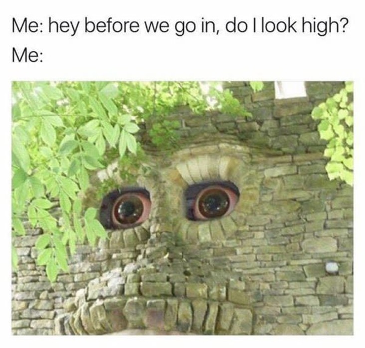 do i look high stoner meme, do i look high weed meme, do i look high cannabis meme