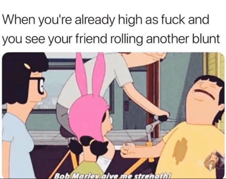 already high stoner meme, already high but going to smoke more stoner meme, already high but going to smoke more weed meme, going to smoke more cannabis meme