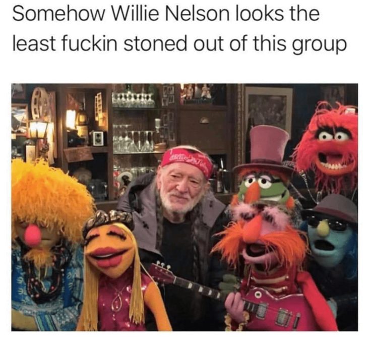 willie nelson muppets stoner meme, muppets stoner meme, willie nelson not as high as the muppets stoner meme