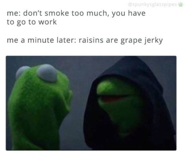 raisins are grape jerky stoner meme, funny raisins are grape jerky stoner meme, raisins grape jerky weed meme