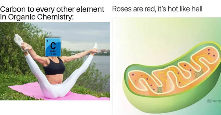 63 Science Memes For The Nerdy Spot On Your Funny Bone