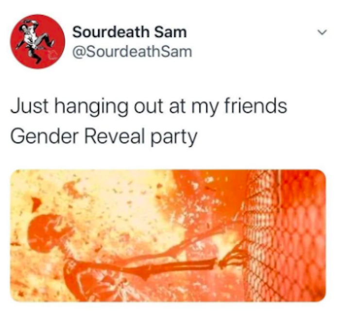 gender reveal party meme