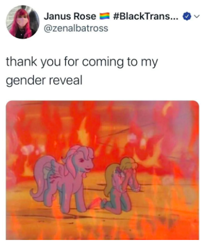 gender reveal party meme