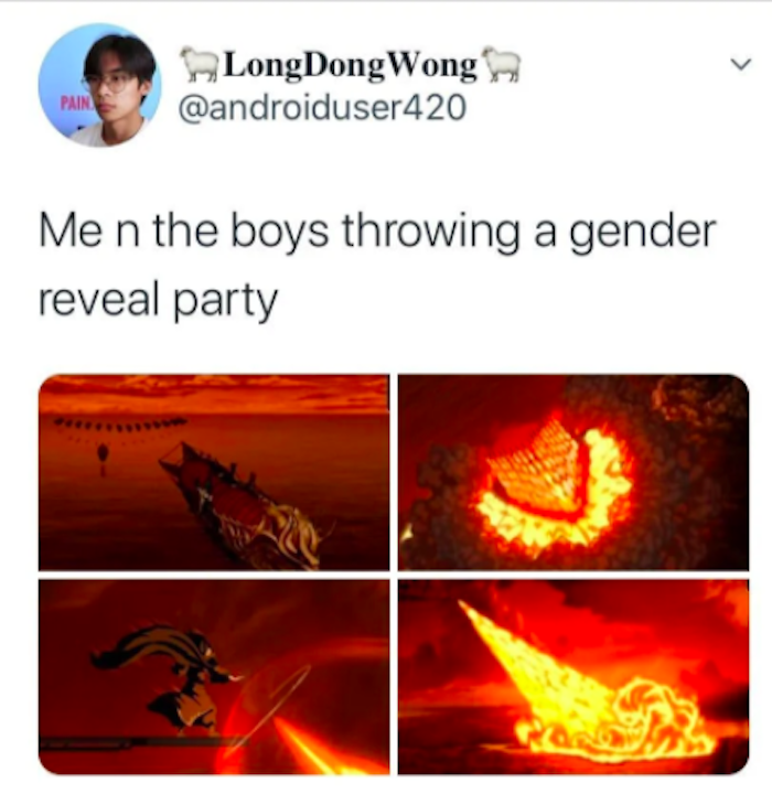 gender reveal party meme