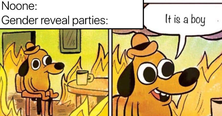 gender reveal party meme